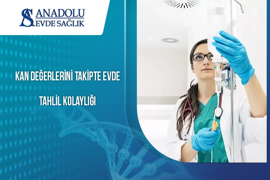 anadoluevdesaglik