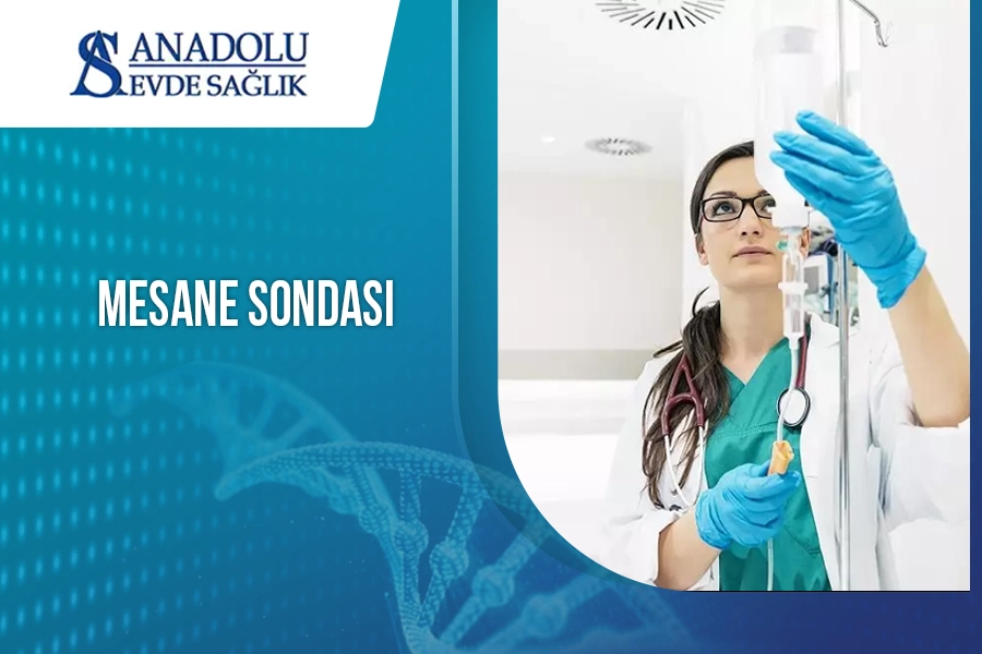 anadoluevdesaglik