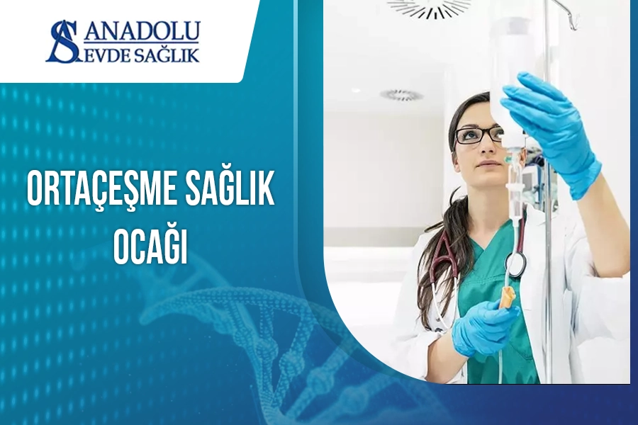 anadoluevdesaglik