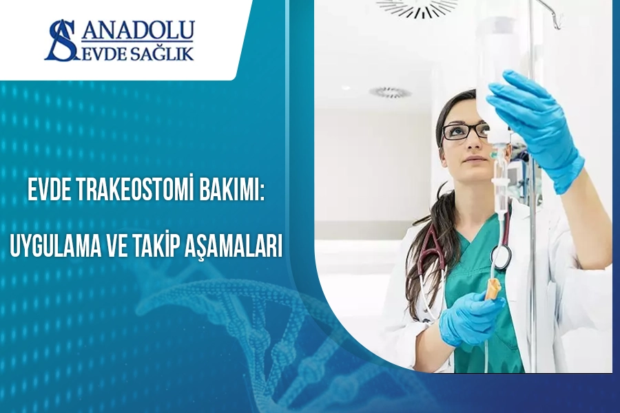 anadoluevdesaglik