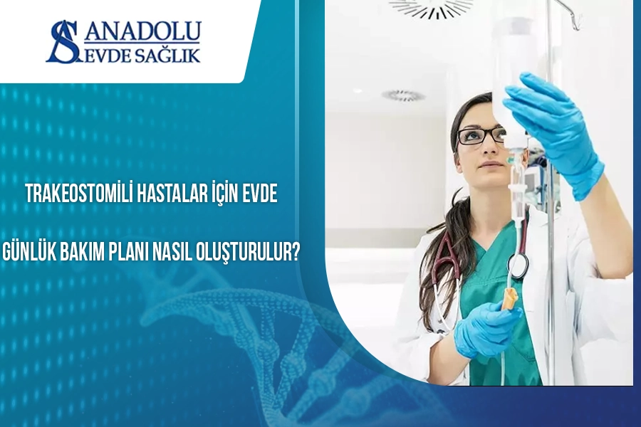 anadoluevdesaglik