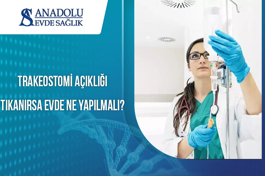 anadoluevdesaglik