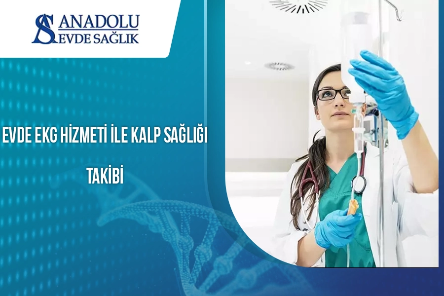 anadoluevdesaglik
