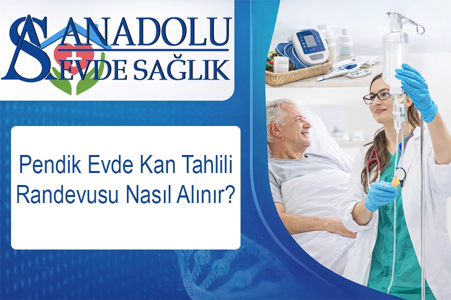 anadoluevdesaglik