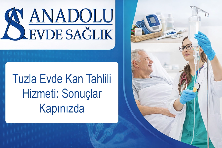 anadoluevdesaglik