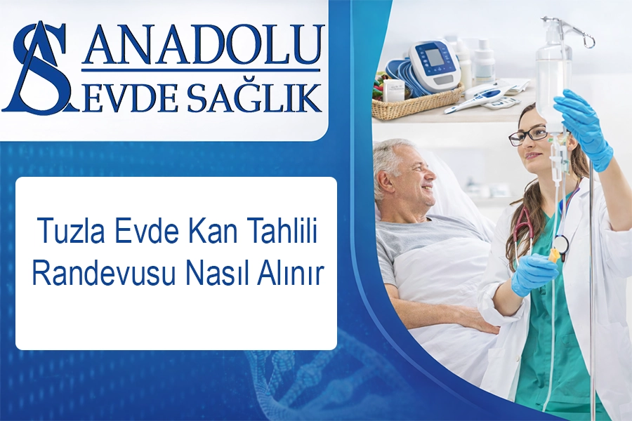 anadoluevdesaglik