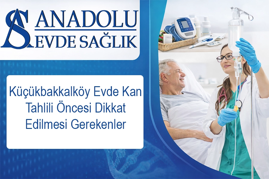 anadoluevdesaglik