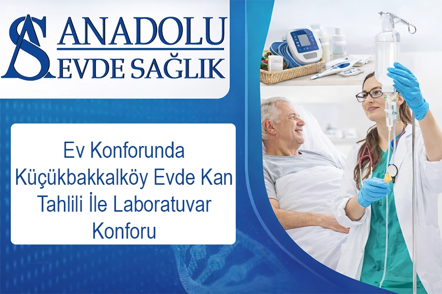 anadoluevdesaglik