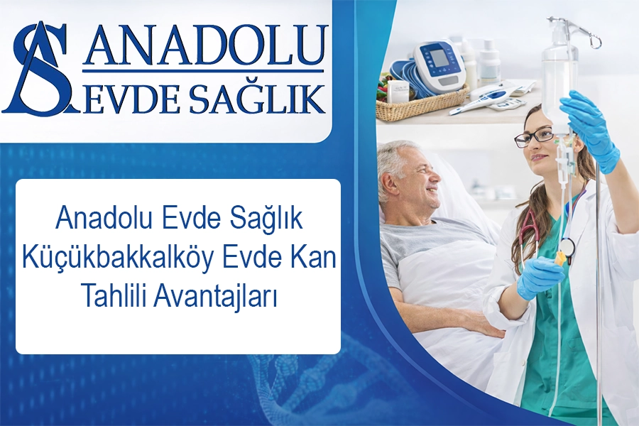 anadoluevdesaglik