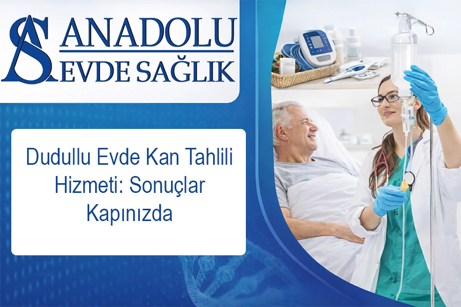 anadoluevdesaglik