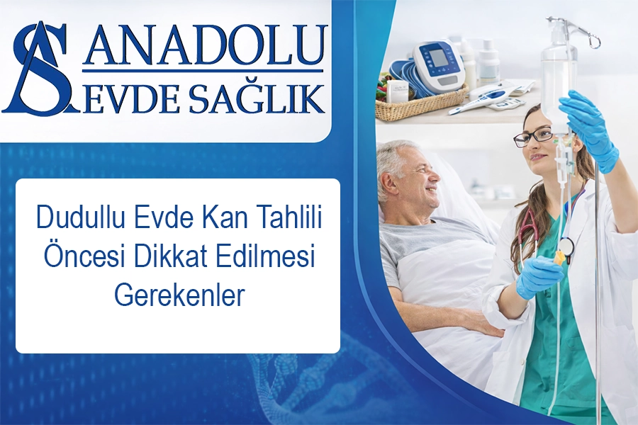 anadoluevdesaglik