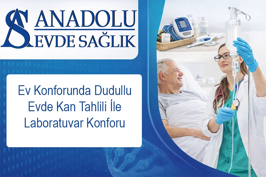 anadoluevdesaglik