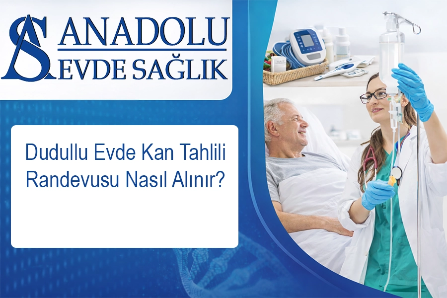 anadoluevdesaglik